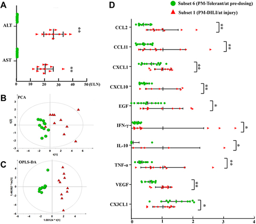 Figure 2 Discovering 10 cytokines related to either liver injury or susceptibility to PM-DILI in pilot study. (A) Significant elevations of ALT and AST in subset 1 (PM-DILI/at injury) but not in subset 6 (PM-tolerant/at pre-dosing). (B) The PCA plot of the two subsets based on 20 cytokines. (C) The OPLS-DA plot of the two subsets based on 20 cytokines. (D) The 10 differential expressed cytokines between the two subsets (with subset 1 mean value as the ratio). *P<0.05, **P<0.01 vs subset 6.