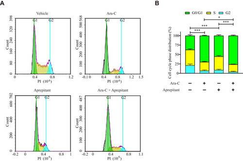 Figure 2 Aprepitant enhances G0/G1 cell cycle arrest of HL60 cells treated by Ara-C. (A) Representative images of cell cycle distribution detected by flow cytometry after treatment with 0.8 μM Ara-C, 10 μM Aprepitant, and combined Ara-C with Aprepitant for 24 hours. (B) The statistical results of cell cycle distribution in HL60 cells. Values represent mean ± SEM (n = 4). *P<0.05, ***P<0.001, compared with each indicated group.