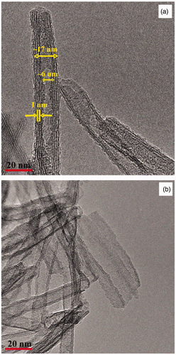 Figure 3. TEM images of titanium nanotubes obtained through the hydrothermal treatment of a PLD film derived from P25 in a 10 M NaOH –P25 solution for (a) and (b) 10 h (sample C9) as listed in Table 1.