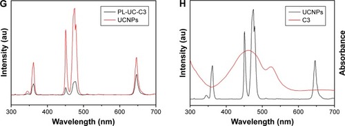 Figure 2 (A) TEM image of UCNPs in ethanol. (B) TEM image of PL-C3 in deionized water. (C) TEM image of PL-UC-C3 in deionized water. (D) DLS analysis of UCNPs, PL-C3, and PL-UC-C3. (E) Powder XRD diffraction patterns of UCNPs and PL-UC-C3. (F) UV-vis spectra of UCNPs, C3, and PL-UC-C3 (1 mg/mL all). (G) Up-conversion emission spectra of UCNPs and UV-vis spectrum of C3. (H) Up-conversion emission spectra of UCNPs and PL-UC-C3.Note: C3, organic compound; PL-UC-C3, encapsulation of UCNPs and C3 into PEG-PCL; PL-C3, encapsulation of C3 into PEG-PCL.Abbreviations: UCNPs, up-conversion nanoparticles; TEM, transmission electron microscopy; DLS, dynamic light scattering; XRD, X-ray diffraction; UV-vis, ultraviolet-visible; PEG, polyethylene-polyglycol; PCL, poly-e-caprolactone.