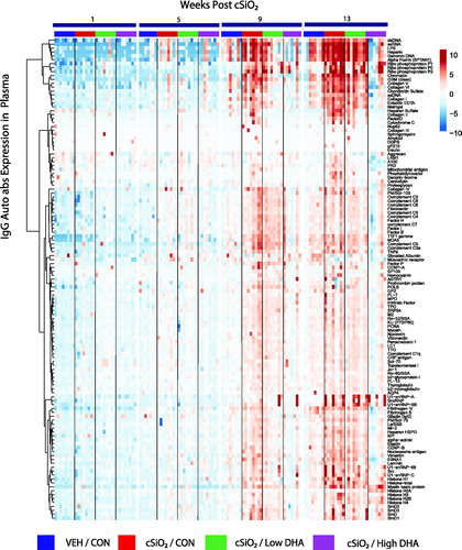 Figure 3. cSiO2-induced IgG AAb responses in plasma are inhibited by DHA intake. Heat maps with unsupervised clustering (Euclidian distance method) depict Ab-score values for IgG AAbs to 122 AAgs measured in the plasma. Top bar indicates the VEH/CON, cSiO2/CON, cSiO2/Low DHA, and cSiO2/High DHA groups, respectively, at 1, 5, 9, or 13 weeks PI. Scale bar values reflect the range of variance-stabilized Ab scores, which were centred across rows.