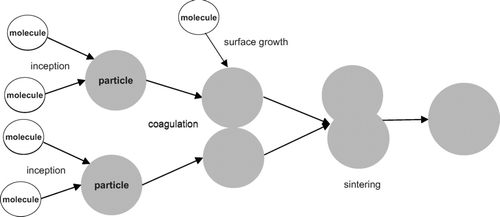 FIG. 1 Different steps in the formation of nanoparticles.