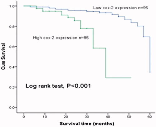 Figure 3. Kaplan–Meier analysis for estimating the overall survival of patients with BCC. Patients with high expression of cox-2 had shorter overall survival than those with low cox-2 expression (log rank test, p < .001).