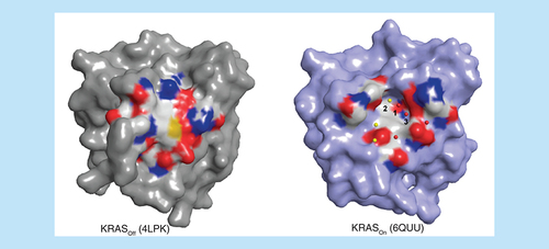 Figure 2. Switch I/II pocket of KRAS.Surface representation of KRASOff (grey, PDB ID: 4LPK) and KRASOn (blue, PDB ID: 6QUU) with binding site crystallographic waters (cut-off radius 5 Å, waters are colored by their RISM free energy calculated with flare (water ‘happiness’): yellow (indifferent waters): -1.5 < ΔG < 1.5; red (unhappy water): ΔG >1.5 (#1: 2.16, #2: 0.49, #3: 2.68; all units in kcal/mol) around the switch I/II binding site [Citation27]. The three most conserved waters are highlighted with numbers. There are no very ‘happy’ waters with highly negative ΔG values.PDB: Protein Data Bank; RISM: Reference interaction site model.