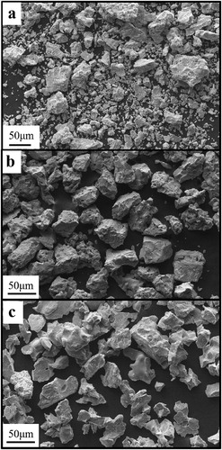 Figure 4. SEM images of powder particles from. (a) as-received TiH2 powder, (b) dehydrogenated Ti powder from the surface center, and (c) dehydrogenated Ti powder from the inner wall of the reactor.