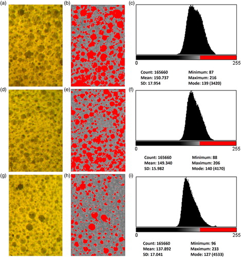 Figure 1. Structure of non-Newtonian foamed materials: (a–c) sample P1, (d–f) sample P2 and (g–i) sample P3 real view, computer analysis image and pore distribution in the sample structure, respectively. Note: The full colour version of this figure is available online.