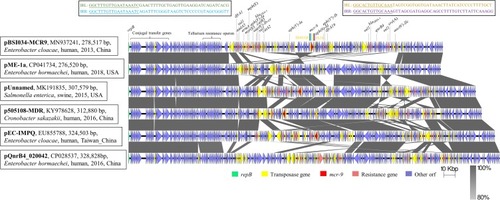 Figure 2 Schematic presentation of major structural features of pBSI034-MCR9 in comparison with five reference plasmids. Areas shaded in gray indicate homologous regions of ≥80% nucleotide sequence identity in the plasmid scaffold regions. ORFs are portrayed by arrows to indicate the direction of transcription and colored based on their predicted gene functions. The figure was drawn to scale.