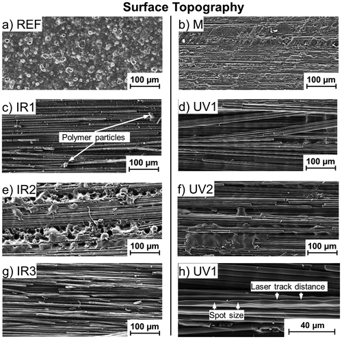 Figure 3. SEM images of typical regions on differently treated CFRP surfaces, (a) untreated REF, (b) grinded M, (c) IR1 or (d) UV1 irradiation with increased intensity, (e) IR2 or (f) UV2 irradiation with less intensity as well as (g) IR3 irradiation with combined intensity for total matrix removal. 500x, SE-detector. Additionally, SEM image (h) showing a totally exposed fibre with characteristic narrowing in the size of the laser spot, appearing repetitively at the laser track distance, 1kx, SE-detector.