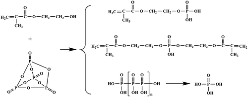 Figure 1. Formation mechanism of P-containing monomer.