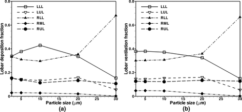 FIG. 13 Lobar (a) deposition and (b) ventilation of 2.5, 5, 10, 20, and 30-μm particles.