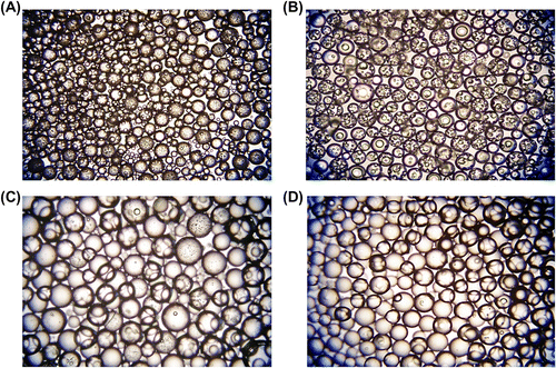 Figure 2 Optical micrographs of poly(GDMA-co-GDGDA) beads synthesized with different GDMA/GDGDA ratios. GDMA/GDGDA ratios (mL/mL) are: (A) 1/3, (B) 2/2, (C) 3/1 and (D) 4/0. Original magnification: 125×.