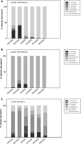 Figure 2  Abundance of cyanobacterial species in the three Rotorua lakes.