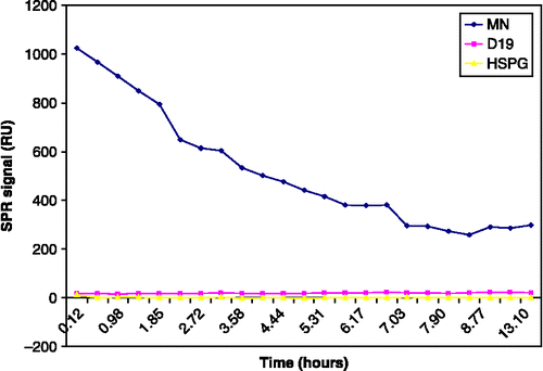 Figure 2 Degradation of protein with time in the same run. The diagram shows a simplified report of the Biacore run (SPR signal; RU) during 15 h in the same chip. rHGF carrier-free R&D (GJ1907011) was reconstituted in 2 ml PBS to a concentration of 2.5 μg/ml. The ratio of the binding response to HSPG/MN in this lot (rHGF carrier-free, R&D GJ1907011) was 14/1025 = 0.01; therefore, the lot was considered biologically inactive. Positive and negative controls were included in the study but are not shown.