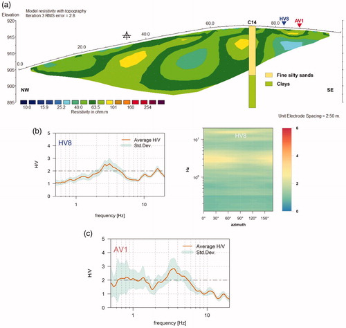 Figure 8. (a) ERT5 (vertical exaggeration in model section display is 1; first and last electrodes are located at 0 m and 100, respectively) with stratigraphic data (C11); (b) mean HVNSR (HV8) and directional HVNSR carried out close to the Church of the Angel in the urban centre of Avigliano (PZ); (c) mean HVSR (AV 1).