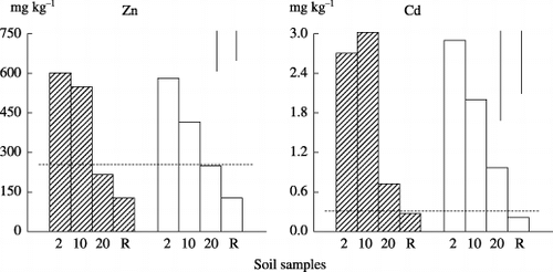 Figure 2  Total concentrations of Zn and Cd in sewage irrigated soils from Xijia Village. 2, 10, 20 and R refer to soils sampled at 2, 10 and 20 m from the open canal and reference samples. (▒), topsoil; (□) subsoil, and the dotted line represents the permissible value set by the Chinese Environmental Quality Standard (GB15618-1995). Bars on the top right represent the least significant differences (LSD) at the 95% level for comparison between distance from the abandoned canal (left) and depth (right).