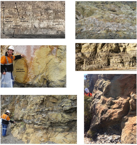 Figure 3. Photographs of sampling sites showing distribution of precipitates. A, Site A pit wall −3 days old. B, C, Site B pit wall. D, Site C road cut. E, Site D pit wall. F, Site E portal cutting.