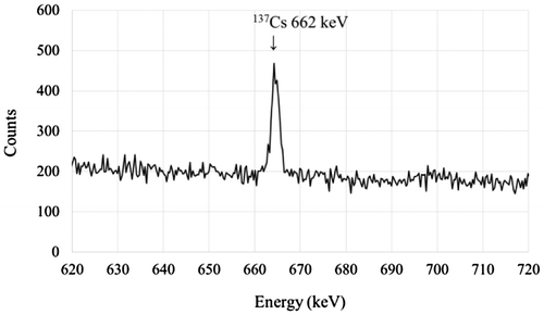 Figure 8. The gamma ray spectrum of particle No. 8.