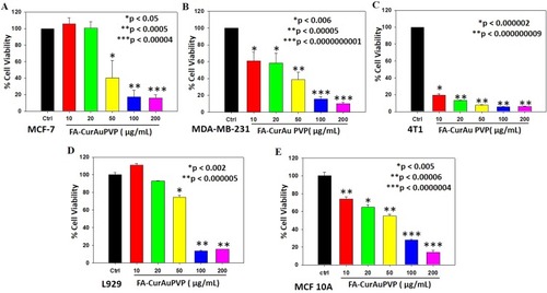 Figure 6 In vitro antitumor effect of folic acid–curcumin–gold–polyvinylpyrrolidone nanoconjugates (FA–CurAu-PVP NCs) in breast cancer. (A–C) MCF-7, MDA-MB-231 and 4T1 cells were seeded into 96-well plates and treated with increasing concentrations of FA–CurAu-PVP NCs (0–200 µg/mL) for 24 h. Cell death induced by NCs was analyzed by MTT assay. The percentage inhibition of cell viability is represented graphically. Values are presented as mean ± SEM of three independent experiments, (D, E) Mouse fibroblast cells (L929) and Human mammary epithelial (MCF 10A) were seeded into 96-well plates and treated with increasing concentrations of FA–CurAu-PVP NCs (0–200 µg/mL) for 24 h. Cell death induced by NCs was analyzed by MTT assay. The percentage inhibition of cell viability is presented graphically.