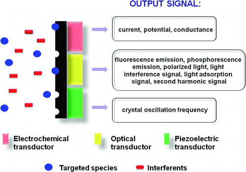 Figure 2 General scheme for biosensors: a biological sensing element is in contact with a physicochemical transductor. When the biomolecule recognizes the target analyte, a reaction occurs producing a signal converted and detected by the transductor. (Color figure available online.)