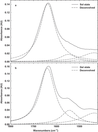 FIGURE 7 Original FTIR and deconvolved spectra of BLG-BSG 10:1 (a) before heating sol; and (b) after heating at 80°C for 10 min gel at room temperature.