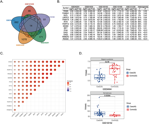 Figure 1 TRIM5 was associated with SLE. (A) Venn plot showed 14 core genes with increased expression in SLE patients from GSE121239, GSE100163, GSE61635, GSE110169, and GSE45291. (B) The logFC and adjusted P values of 14 core genes in five public datasets were shown. The heterogeneity test was under the fixed effect model. The genes were ranked by decreasing heterogeneity. (C) The correlation scores between the 14 target genes were shown. (D) The expression levels of TRIM5 were compared between cases and controls. GSE84844 and GSE100152 are for Sjogren’s syndrome and dermatomyositis, respectively.