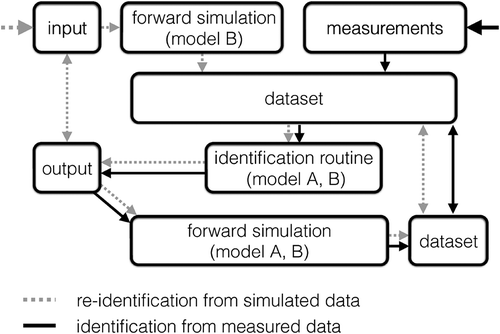 Figure 4. Parameter identification flow chart illustrating re-identification from simulated data sets (dotted grey arrows) and identification from measured data (solid black arrows). Double arrows mark comparisons.