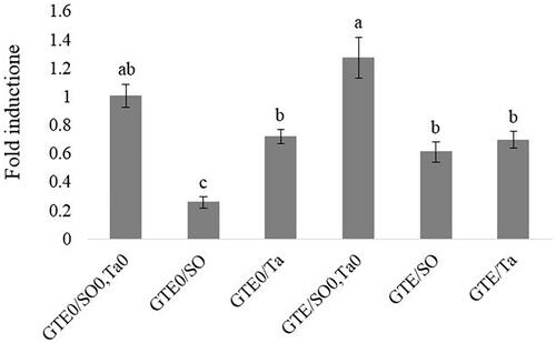 Figure 2. QRT-PCR analysis of ATGL (adipose triglyceride lipase) gene expression in abdominal fat tissue of female broiler chicks in response to green tee extract (GTE) and fat supplementation. GTE0: without green tea extract; GTE500: 500 mg green tea extract/kg diet; SO: soybean oil; Ta: tallow; SO0/Ta0: without soybean oil/without tallow.