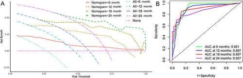 Figure 2 Validation of predictive value of the Nomogram in the training cohort. (A) The prognostic value of the nomogram was confirmed by the ROC analysis. (B) Predictive capacity of the nomogram was assessed by DCA.