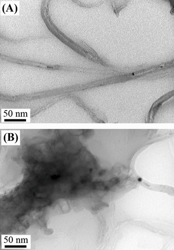 Figure 6 TEM micrographs for PHB-g-AA/MWNTs-OH composites with different MWNTs-OH contents: (A) 1.0 wt.% and (B) 3.0 wt.%.