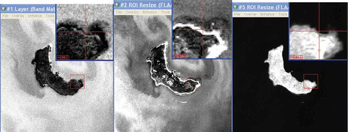 Figure 4. Images in bottom reflectance with water column correction, green band and NIR band from left to right.