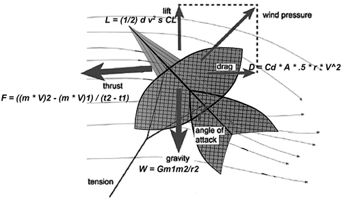 Figure 7. An analysis on the forces of lift, weight, trust, and drag on Phra Ruang Kite.Source: Developed from Hulslander, Citation2012, with Notations from the authors