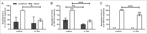 Figure 8. Role for IL-1α in human rhinovirus (HRV)16-induced proinflammatory responses in the primary differentiated epithelial mesenchymal trophic unit (EMTU) co-culture model. Co-cultures were treated with IL-1Ra (500 ng/ml) basolaterally for 1 h prior to HRV16 (MOI = 2) or UV-HRV16 as a negative control. After 24 h, cell-free supernatants were assayed for IL-6 (A), CXCL8 (B), and CXCL10 (C) by ELISA. To examine the effect of IL-1Ra on HRV16-induced cytokine release, cytokine levels are expressed as % of HRV16-induced control response (100%). Results are means ± SD, n = 3 separate epithelial cell donors. ***P ≤ 0.001 compared to UV-HRV16 control and +P ≤ 0.05, ++P ≤ 0.01 or +++P ≤ 0.01 comparing control and IL-1Ra-treated cultures (2-way ANOVA with Bonferroni correction). b.d. indicates levels below the detection limit of the assay.