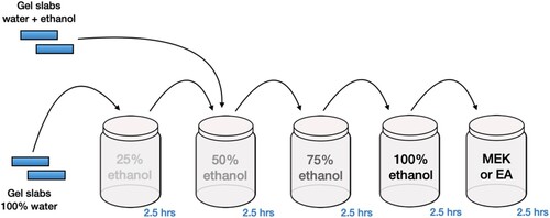 Figure 2. Proposed organic solvent treatment for slabs of gels made of pure agar or agar/PVA-B, combined with pure water or a mixture of water and ethanol. Preparing the gels with water and ethanol was determined to be applicable to both pure agar and agar/PVA-B gels. Using 100% water was only applicable to pure agar gels. The soaking time indicated was applied to pieces of gel ∼3 mm thick. Thicker gels would need to soak for a longer time period.