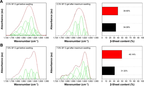 Figure S1 ATR-IR absorbance spectra of amide I region by FSD.Notes: ATR-IR absorbance spectra of amide I region by FSD of (A) 2.3% SF C-gel and SF P-gel and (B) 7.9% SF hydrogel before (black) and after (red) maximum swelling of SF C-gel.Abbreviations: ATR-IR, attenuated total reflectance infrared spectroscopy; FSD, Fourier self-deconvolution; SF, silk fibroin; C-gel, gamma ray induced chemically cross-linked hydrogel.
