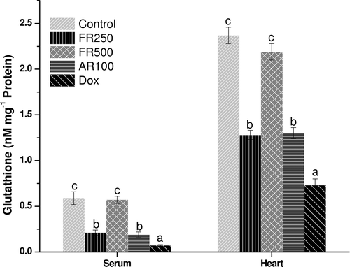 Figure 3.  Glutathione levels in serum and heart. Data expressed as mean ± SD of n = 6 rats (p ≤ 0.05); FR250: FRSACE 250 mg kg−1, FR500: FRSACE 500 mg kg−1, AR100: Arjuna 100 mg kg−1, Dox: doxorubicin. Bars carrying different letters a, b, c differ significantly from each other (p ≤ 0.05).