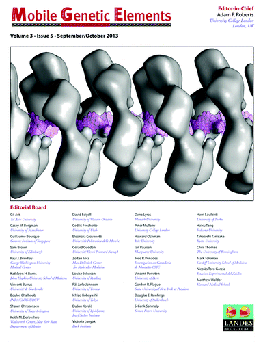 Figure 3. Cover of Mobile Genetic Elements Volume 3, Issue 5.