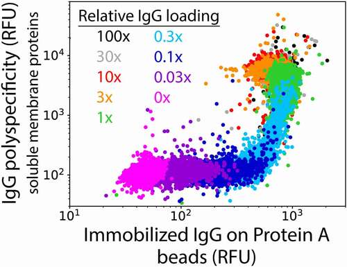 Figure 2. Impact of mAb loading on flow cytometry detection of antibody nonspecific interactions with soluble membrane proteins. mAb immobilization on Protein A beads was detected using a F(ab’)2 antibody specific for human Fc (Alexa Fluor 488) and mAb binding to biotinylated soluble membrane proteins was detected using streptavidin (Alexa Fluor 647). The measurements were evaluated as a function of the mAb concentration relative to the IgG binding capacity of the Protein A beads. The experiments were performed three times, and a representative example is shown