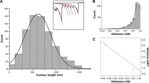 Figure 3 Worm-like chain modeling and Poisson analysis of Streptococcus sanguinis–Ti unbinding events.Notes: (A) Histogram for the predicted contour length obtained for minor-detachment events across three independent S. sanguinis probes (n=661 events). Inset represents the fitting process carried out on the analysis software. (B) Force histogram for minor-detachment events observed at increased contact times. (C) By plotting average unbinding force against variance for each cell probe, it is possible to predict values for FSR and FLR. The analysis for four independent S. sanguinis probes is shown (R2=0.92).Abbreviations: FLR, long-range force; FSR, short-range force; Ti, titanium.