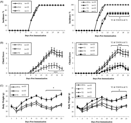 Figure 1. Estrogen inhibited the development of EAE in MOG-immunized C57BL/6 mice in dose dependent manner. All ovariectomized Treatment groups were implanted with 3 different 21-day release 17β-estradiol pellets and OVA group with placebo pellets containing vehicle subcutaneously in the scapular region behind the neck using a 12-gauge trochar as described by the manufacturer simultaneous with EAE induction as detailed under the Materials and methods section. Mice were monitored for signs of EAE, and the results for all mice, were presented as (A) incidence of disease, (B) mean clinical score ±SEM, and (C) body weight. Results were expressed as mean ± SEM. *p < .05, **p < .01, and ***p < .001, T1, T2, T3 and Ctrl groups compared with OVA group. Mice were divided into five groups: 1. Control group (Ctrl), 2. Ovariectomized group (Ova), 3. Low dose estrogen treatment group (T1), 4. Medium dose estrogen treatment group (T2),and 5. High dose estrogen Treatment group (T3).