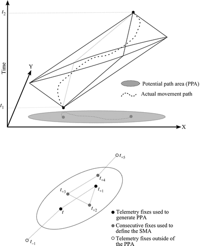 Figure 1. Delineating potential path area (PPA) and calculating the slow movement area (SMA).