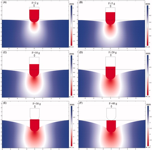 Figure 3. The deformation of cardiac tissue and the displacement field distributions. (A) F = 2 g, (B) F = 5 g, (C) F = 10 g, (D) F = 20 g, (E) F = 30 g, (F) F = 40 g.