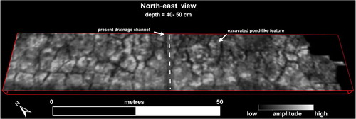 Fig. 5  Amplitude-slice image of ground-penetrating radar results revealing complex dendritic patchwork related to a combination of hydrologic and cryogenic processes in the active layer (i.e., above the permafrost layer).