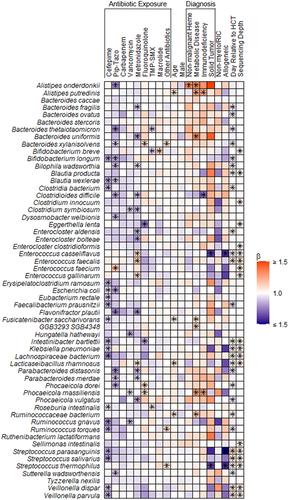 Figure 2. Heatmap depicting associations between antibiotic exposures and other clinical factors and gut microbiome composition. Associations were estimated from linear mixed effects models fit using MaAsLin2. We included bacterial species with a minimum mean relative abundance of 1% and a sample prevalence of 5%; the false discovery rate was set to 0.1. Broadly, there were declines in the relative abundances of several bacterial species associated with antibiotic exposures. Notably, metronidazole and piperacillin-tazobactam exposures were associated with increases in the relative abundances of several enterococcal species. “Other” antibiotics includes exposures to tetracyclines, clindamycin, aminoglycosides, and non-cefepime beta-lactams. Betas indicate effect sizes and asterisks denote significant changes. Pip-tazo, piperacillin-tazobactam; TMP-SMX, trimethoprim-sulfamethoxazole; non-malignant heme, non-malignant hematologic disorder; non-myelo/RIC, non-myeloablative and reduced-intensity conditioning.