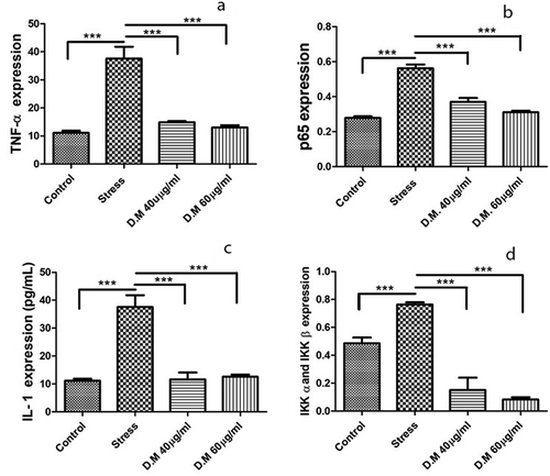 Figure 6. Cytokine concentrations (n = 3) of control, stress and DM preconditioned groups where (a) represents protein concentration of TNF-α (b) represents protein concentration of p65 while (c) indicates the protein concentrations of IL1β while (d) represents the protein concentrations IKK-α and IKK-β