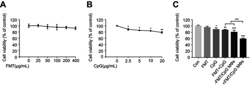 Figure 3 FMT/CpG-pretreated MΦ supernatant reduces H1975 cell viability. (A and B) H1975 cells were incubated with different concentrations of FMT (0–400 µg/mL) or CpG (0–20 µg/mL) for 48 hrs and cell viability was evaluated with the CCK-8 assay. (C) Effect of FMT (100 µg/mL), CpG (2.5 µg/mL), FMT/CpG, the supernatant of MΦ grown for 12 hrs without stimulation (−FMT/CpG MΦS), or supernatant of MΦ pretreated with FMT/CpG for 12 hrs (+FMT/CpG MΦS) on the viability of H1975 cells after 48 hrs. Results are expressed as mean ± SDof three independent experiments. *P<0.05, **P<0.01, ***P<0.001 vs control.Abbreviations: CCK-8, Cell Counting Kit-8; FMT, ferumoxytol; MΦ, macrophages.