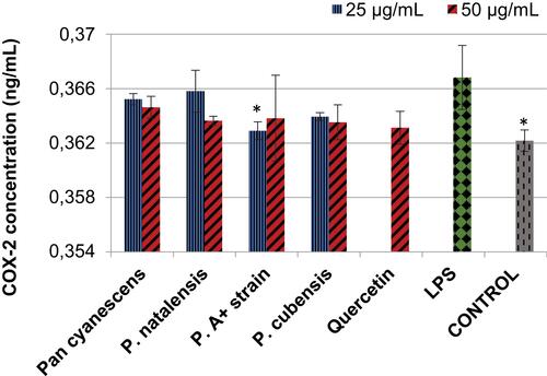 Figure 1 Effects of the hot-water extracts (25 and 50 µg/mL) of Pan cyanescens, P. natalensis, P. cubensis and P. A+ strain mushrooms and the positive control; quercetin (50 µg/mL) on LPS-induced COX-2 concentration over 24 h. Control cells were differentiated but neither induced with LPS nor treated. LPS: differentiated and LPS-induced. (*Statistically significant).