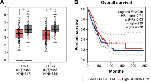 Figure 1 CD300A was downregulated in NSCLC and correlated with prognosis of patients.
