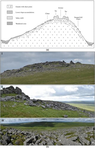 Figure 2. Characteristics of the well-developed periglacial landsystem of Dartmoor: a) existing model of landform-sediment associations (landsystem) for Dartmoor, including summit areas with castellated tors, clitter fields and thin regolith, upper hillsides covered with cryoplanation benches/terraces, boulder lobes and clitter, and lower hillsides with deeper solifluction debris (after Gerrard, Citation1988 and Campbell et al., Citation1998); b) examples of the main landsystem elements and facets, including; i. hilltop profile of Great Staple Tor viewed from the northeast, showing summit tor stacks, cryoplanation bench at left and clitter slope/blockfield; ii. west face of Great Mis Tor, showing cryoplanation bench at the foot of the tor stack, fringed at the right by bolder lobes; iii. view down west slope of Great Mis Tor through the boulder lobes to the stone-fronted lobes of the lower slopes.