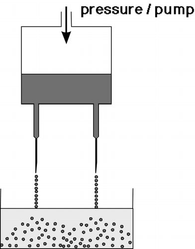 Figure 2. Simple laboratory multi-nozzle device for gel bead production. The solution of potassium pectate containing the cell suspension is pushed through the needle and dropped into the CaCl 2 solution.