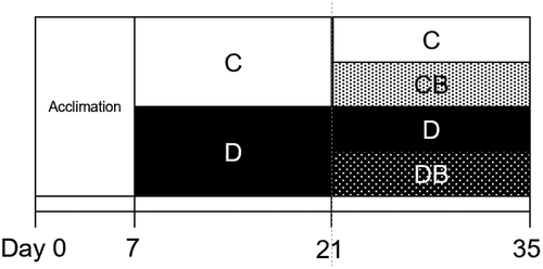Figure 1. Feeding schedule.After acclimation for 1 week, the rats were divided into two groups, including those fed with control diet (C) and DFAIII-supplemented diet (D) for 2 weeks. Rats from each group were further divided into two groups and fed the diet supplemented with CA (CB and DB) or without CA (C and D) (n = 8 each) for another 2 weeks.